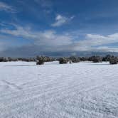 Review photo of Sante Fe National Forest BLM-Road 62 Dispersed by Alice C., January 1, 2021