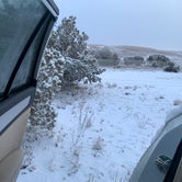 Review photo of Sante Fe National Forest BLM-Road 62 Dispersed by Alice C., January 1, 2021