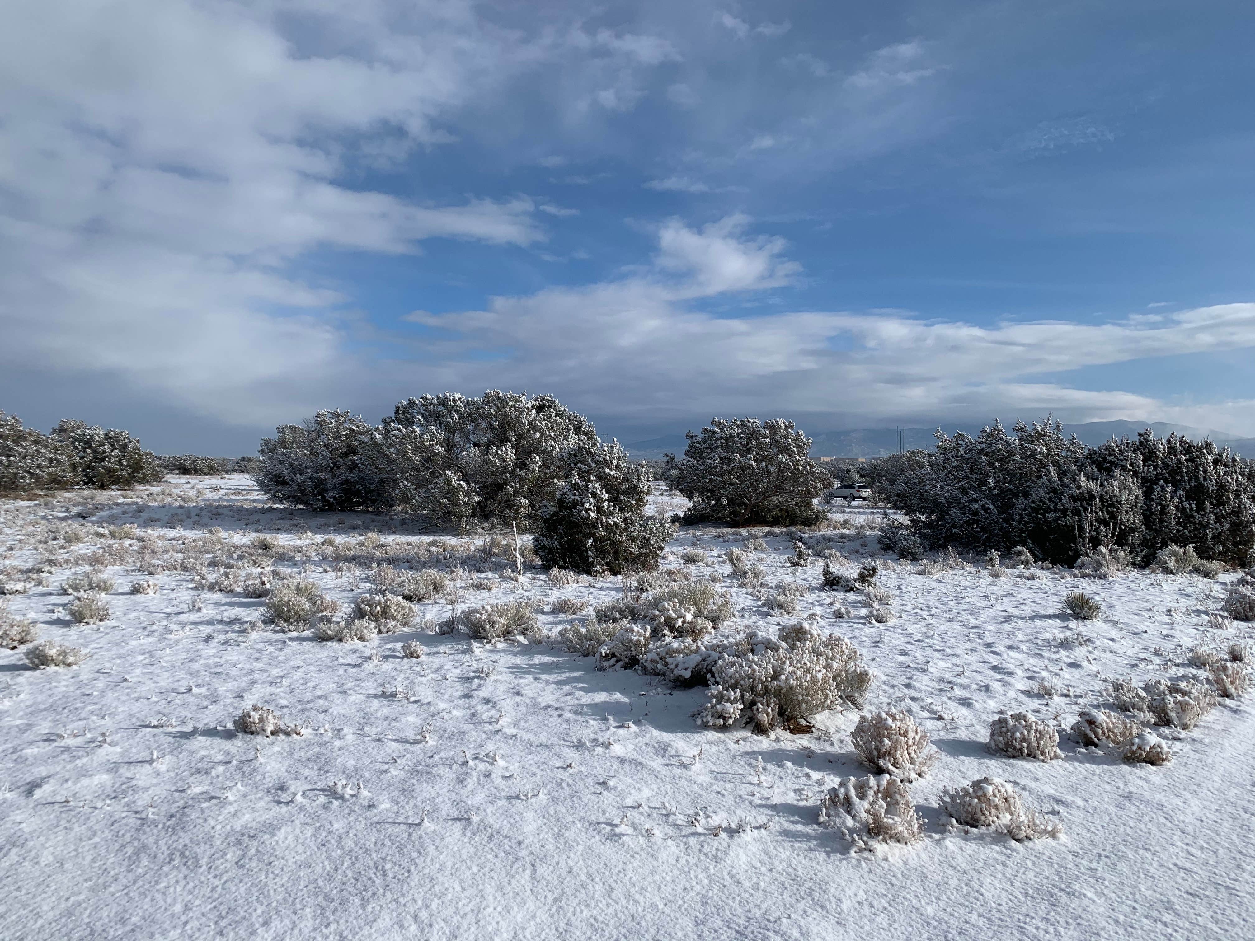 Camper-submitted photo at Sante Fe National Forest BLM-Road 62 Dispersed near White Rock, NM