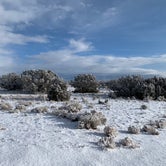 Review photo of Sante Fe National Forest BLM-Road 62 Dispersed by Alice C., January 1, 2021