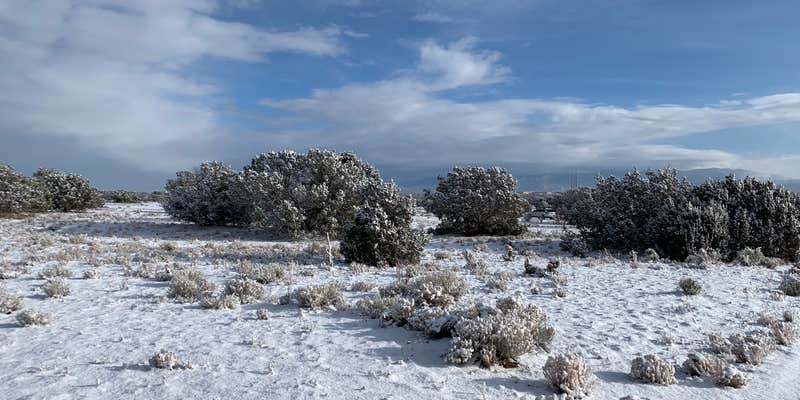 Camper submitted image from Sante Fe National Forest BLM-Road 62 Dispersed