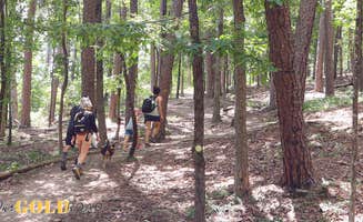 Trevor B.'s photo of camping with pets at COE Lake Ouachita Crystal Springs Campground near Ouachita Lake