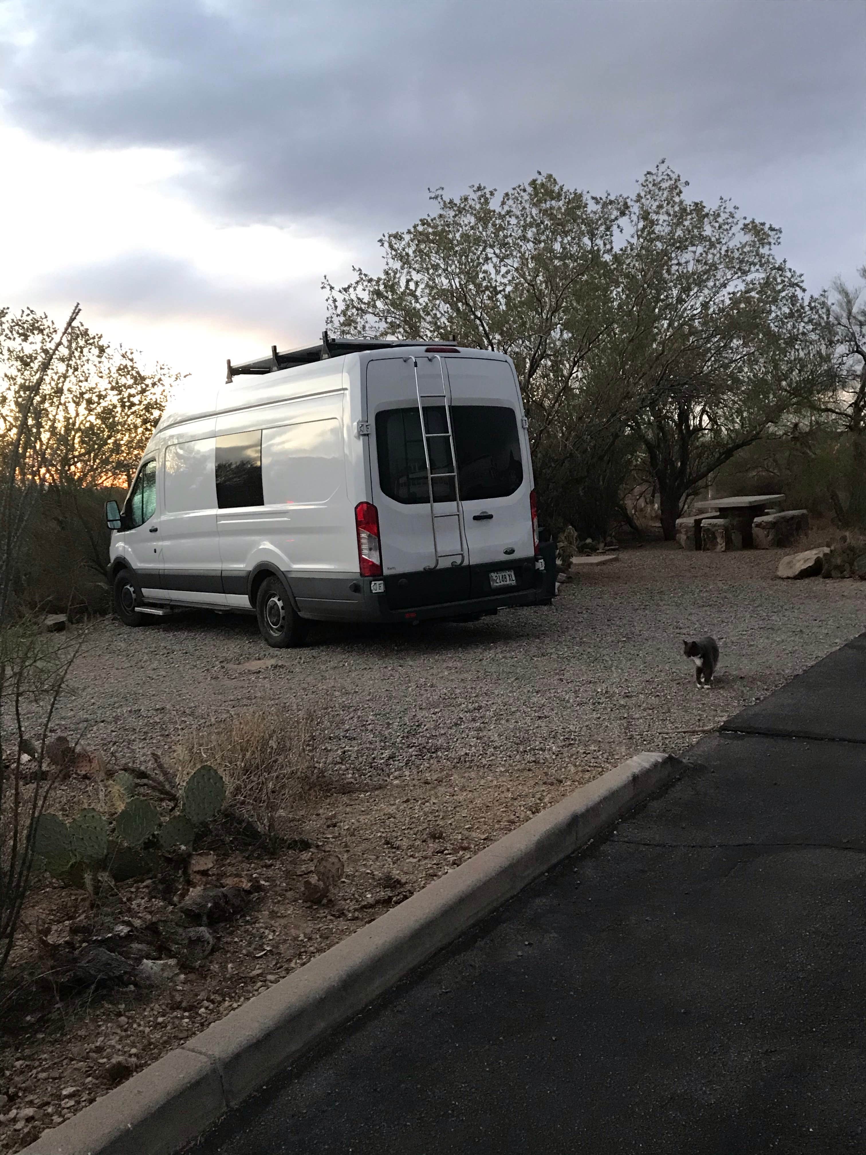 Camper-submitted photo at Gilbert Ray Campground in Arizona