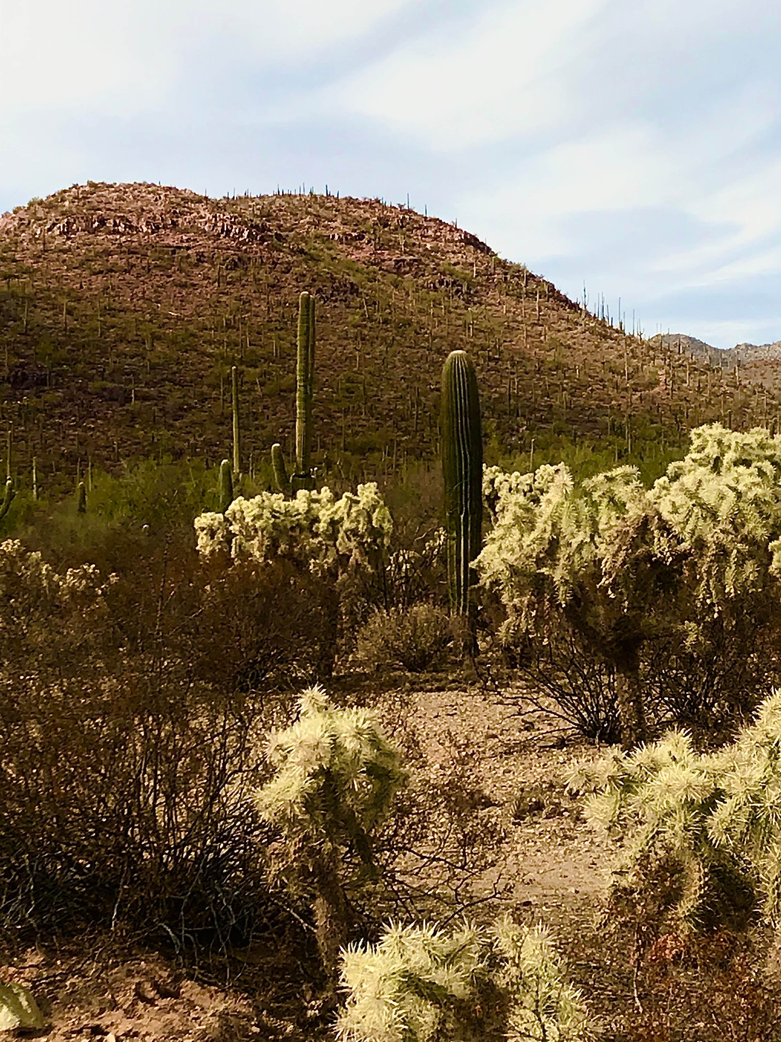 Gilbert Ray Campground