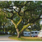 Review photo of Florilow Oaks RV Campground by Kay G., May 26, 2018