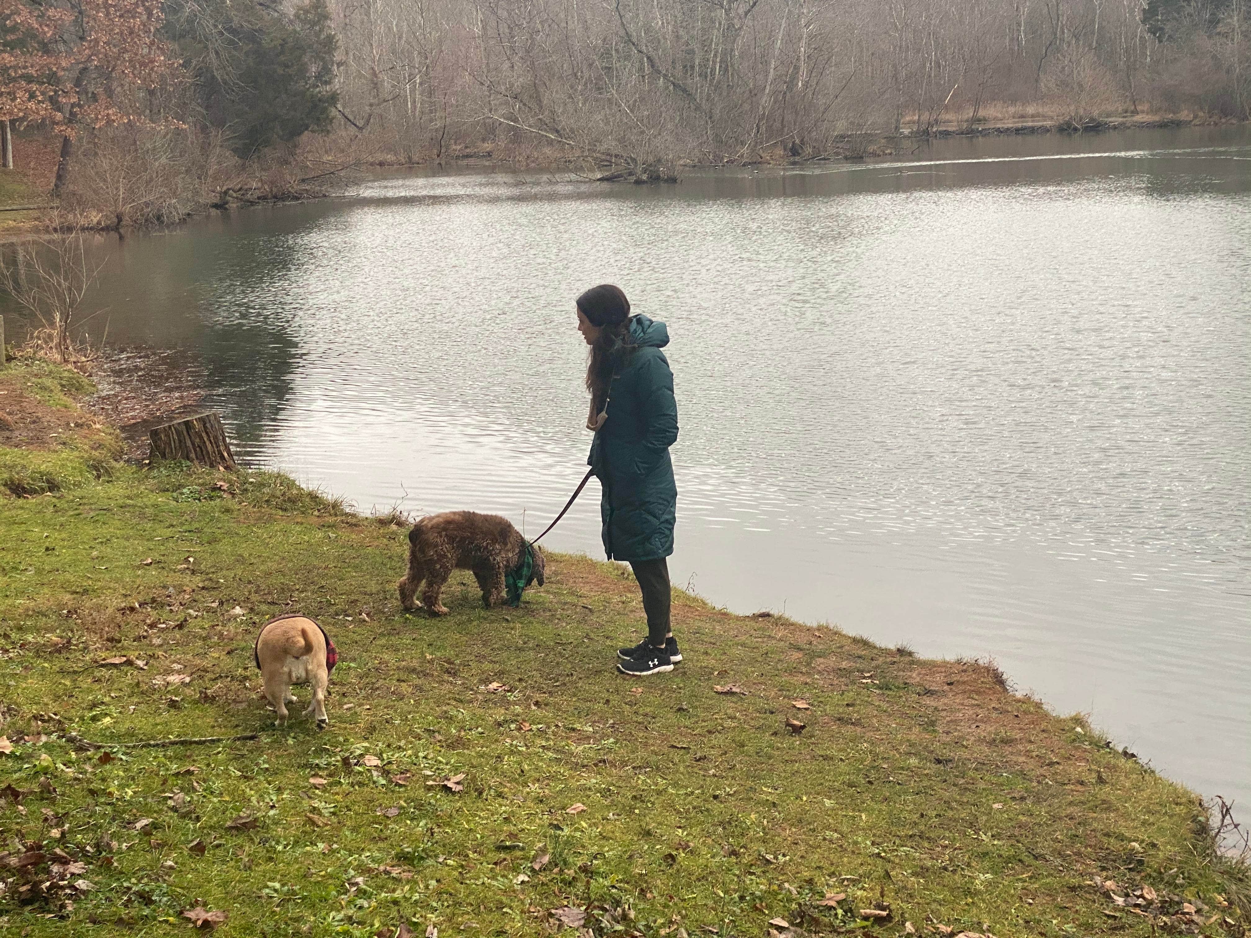 Jon G.'s photo of camping with pets at Cove Lake State Park Campground near Huntsville, TN