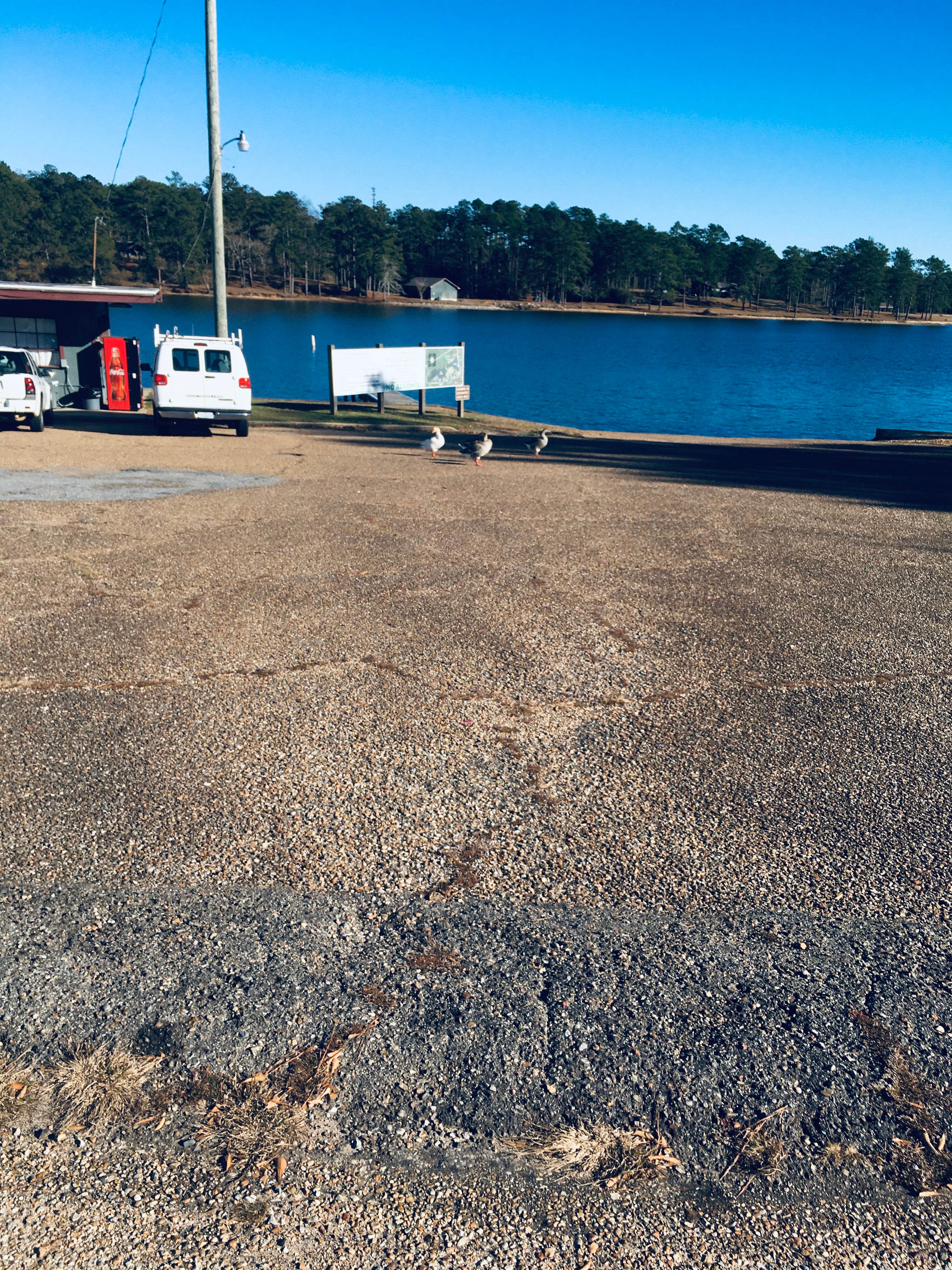 Camper-submitted photo at Paul B. Johnson State Park Campground in Mississippi