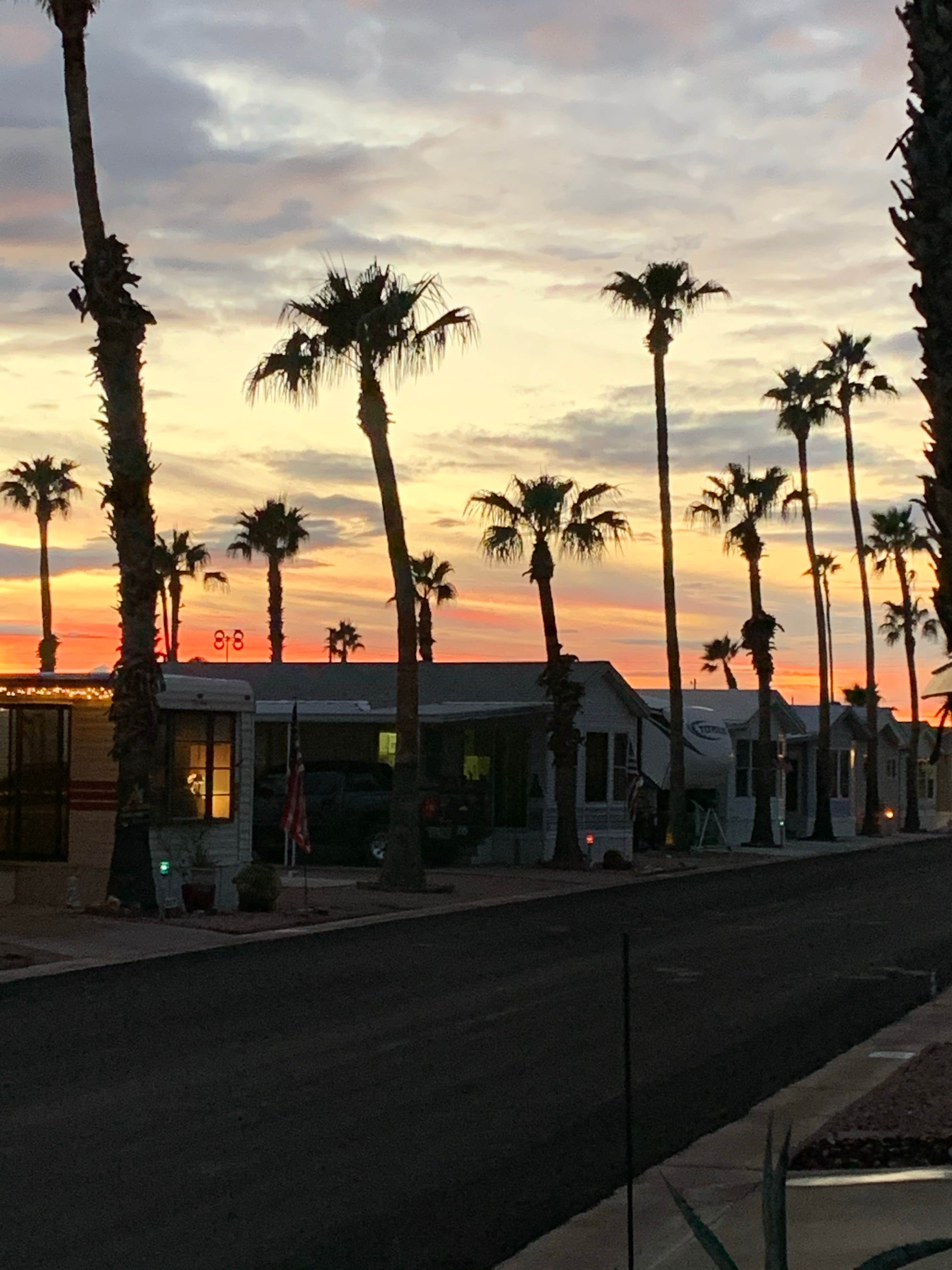 Escape to the Desert Oasis: Arizona Weavers Needle RV Resort