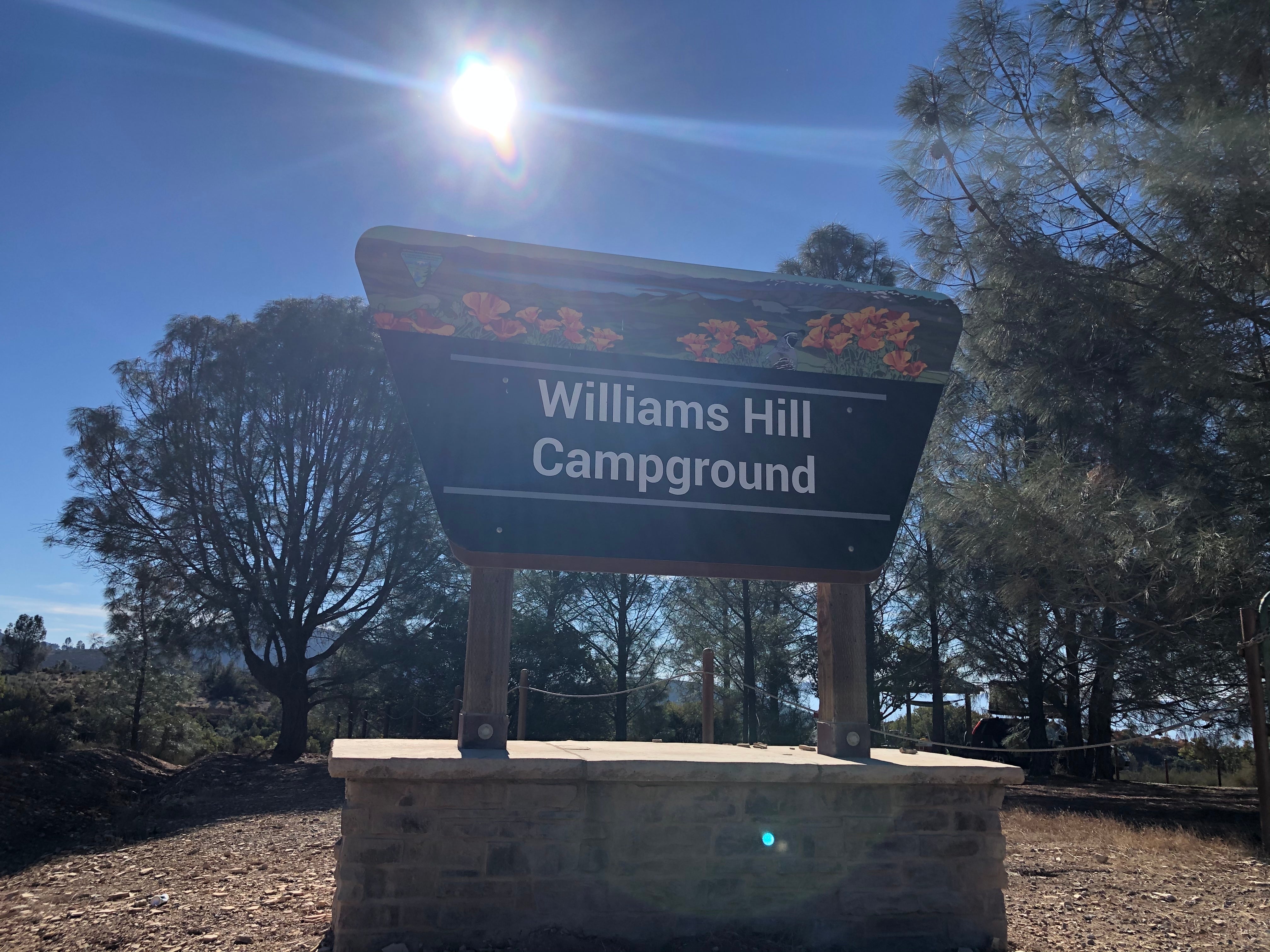 Camper submitted image from Williams Hill Recreation Area - 1