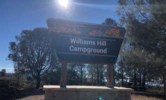 Camping near Tumey Hills Box Canyon: Williams Hill Recreation Area, Jolon, California