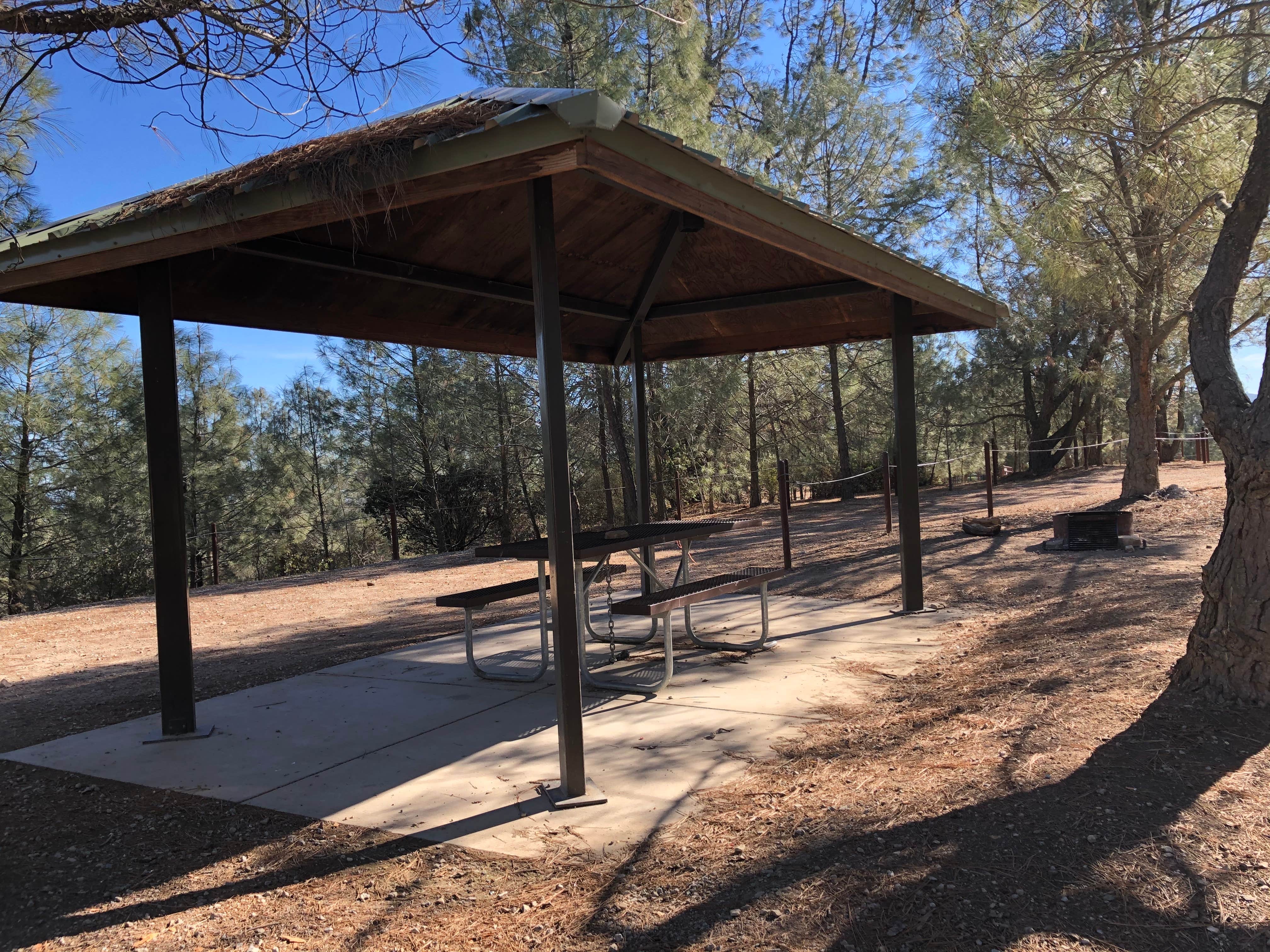 Camper submitted image from Williams Hill Recreation Area - 5