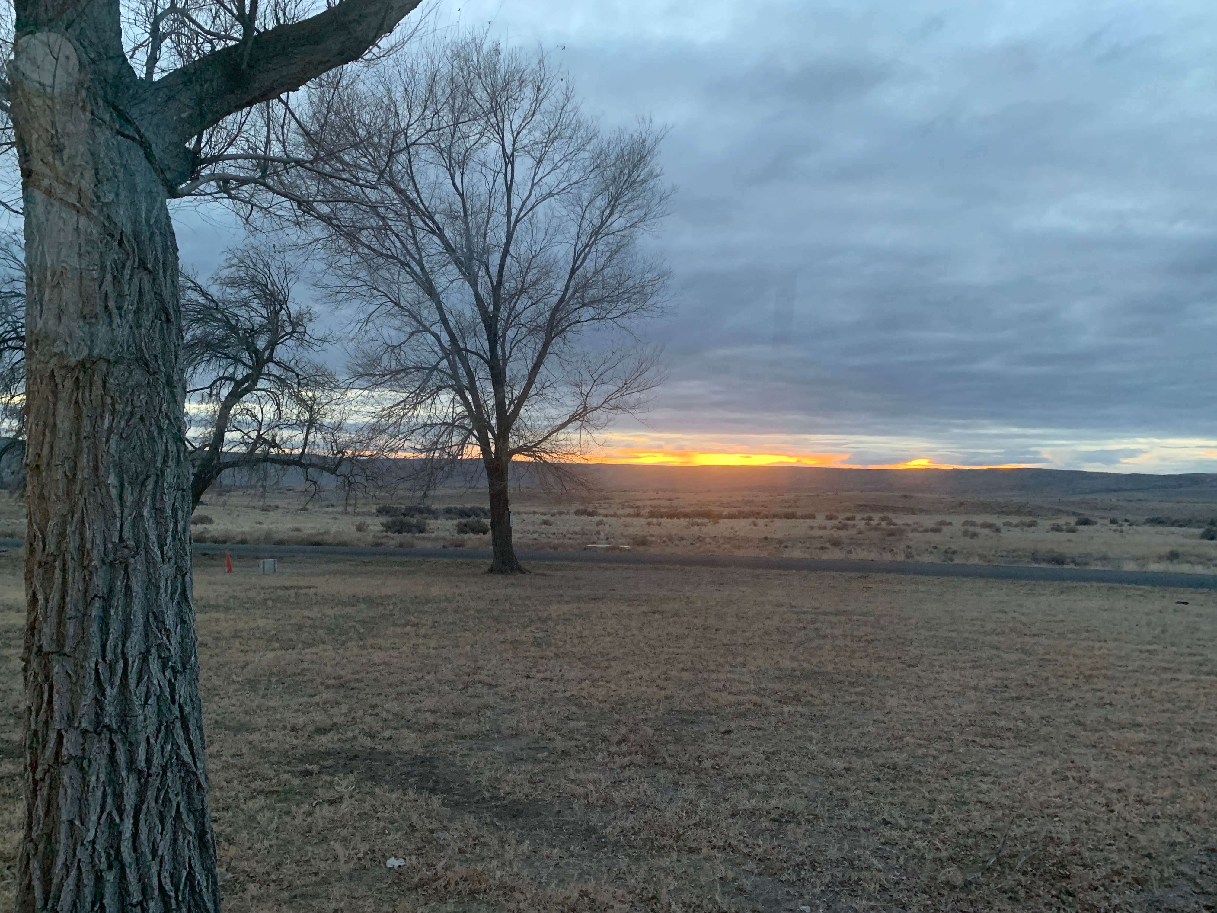 Camper submitted image from Bruneau Dunes State Park Campground - 1