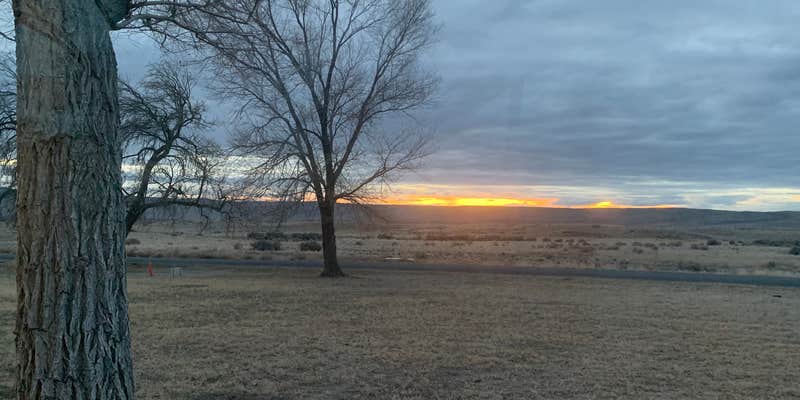 Camper submitted image from Bruneau Dunes State Park Campground