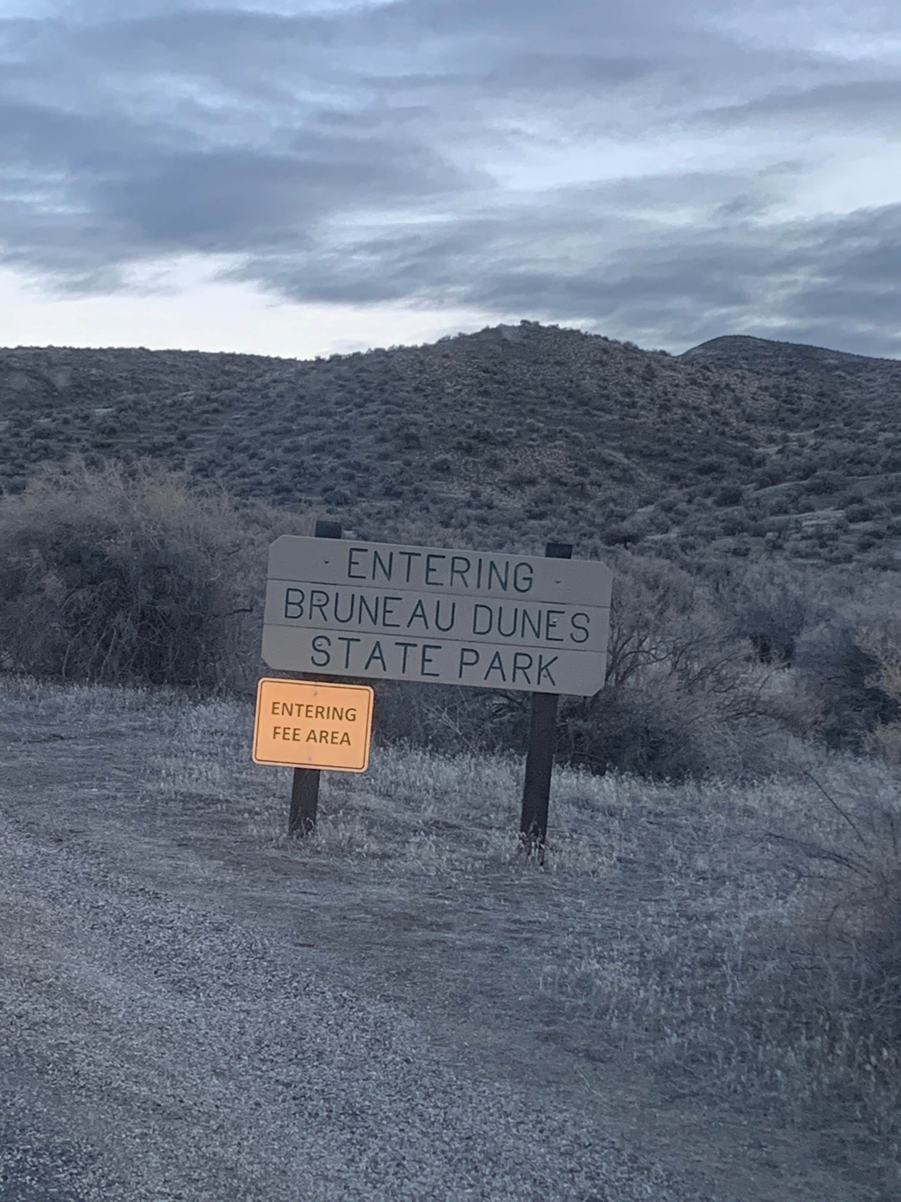 Camper submitted image from Bruneau Dunes State Park Campground - 5