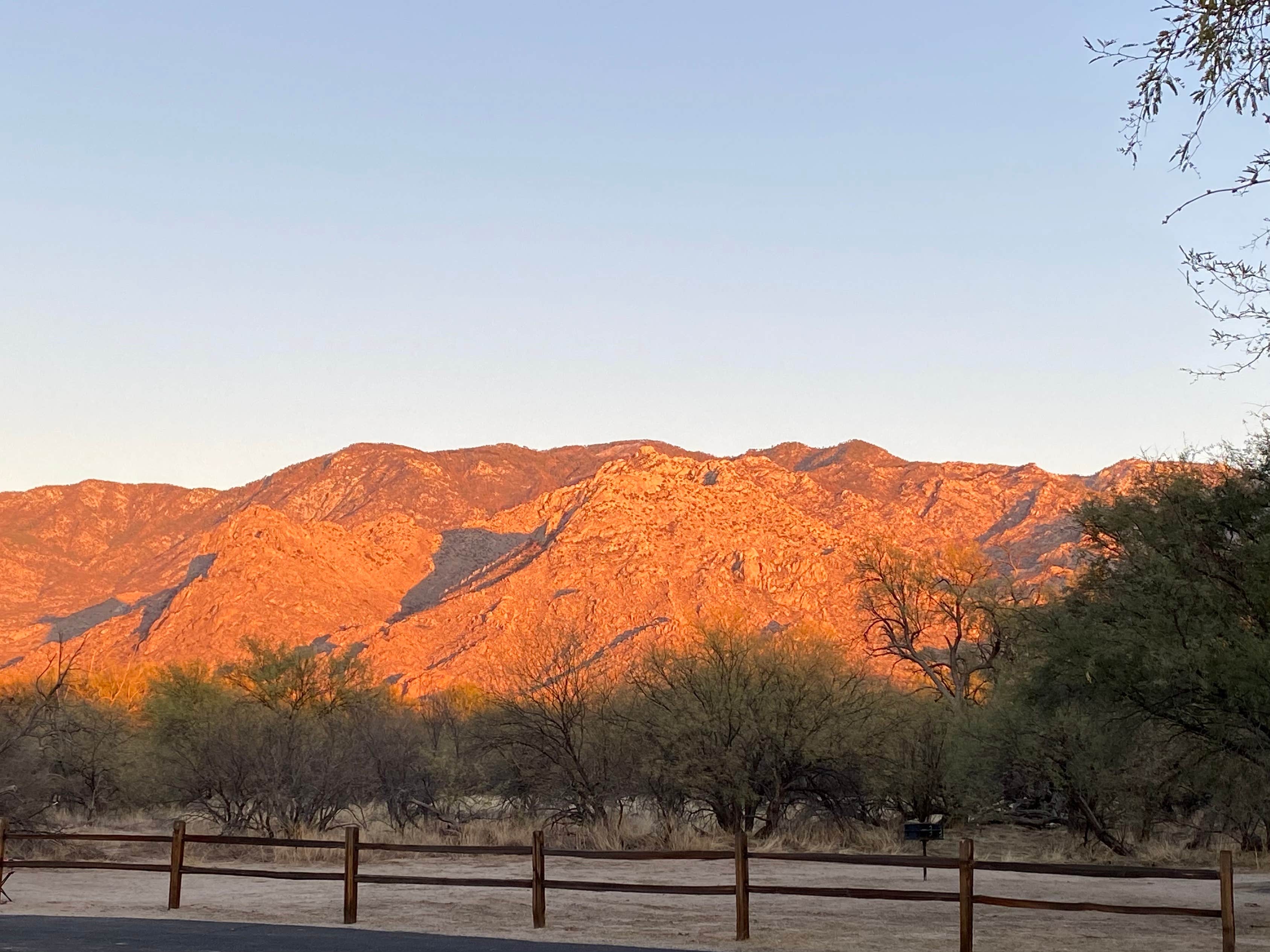 Catalina State Park Campground