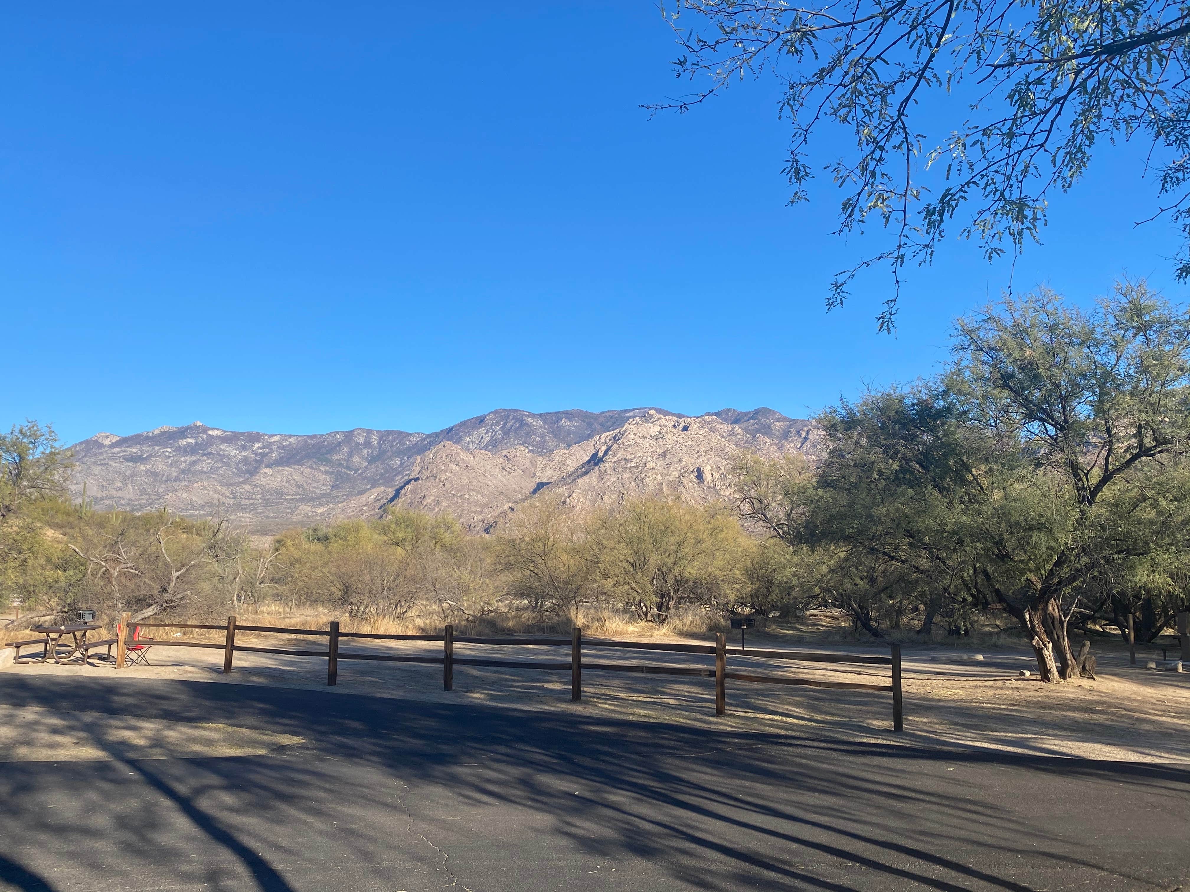 Catalina State Park Campground