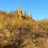 Review photo of Catalina State Park Campground by Monte W., January 1, 2021