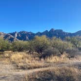 Review photo of Catalina State Park Campground by Monte W., January 1, 2021