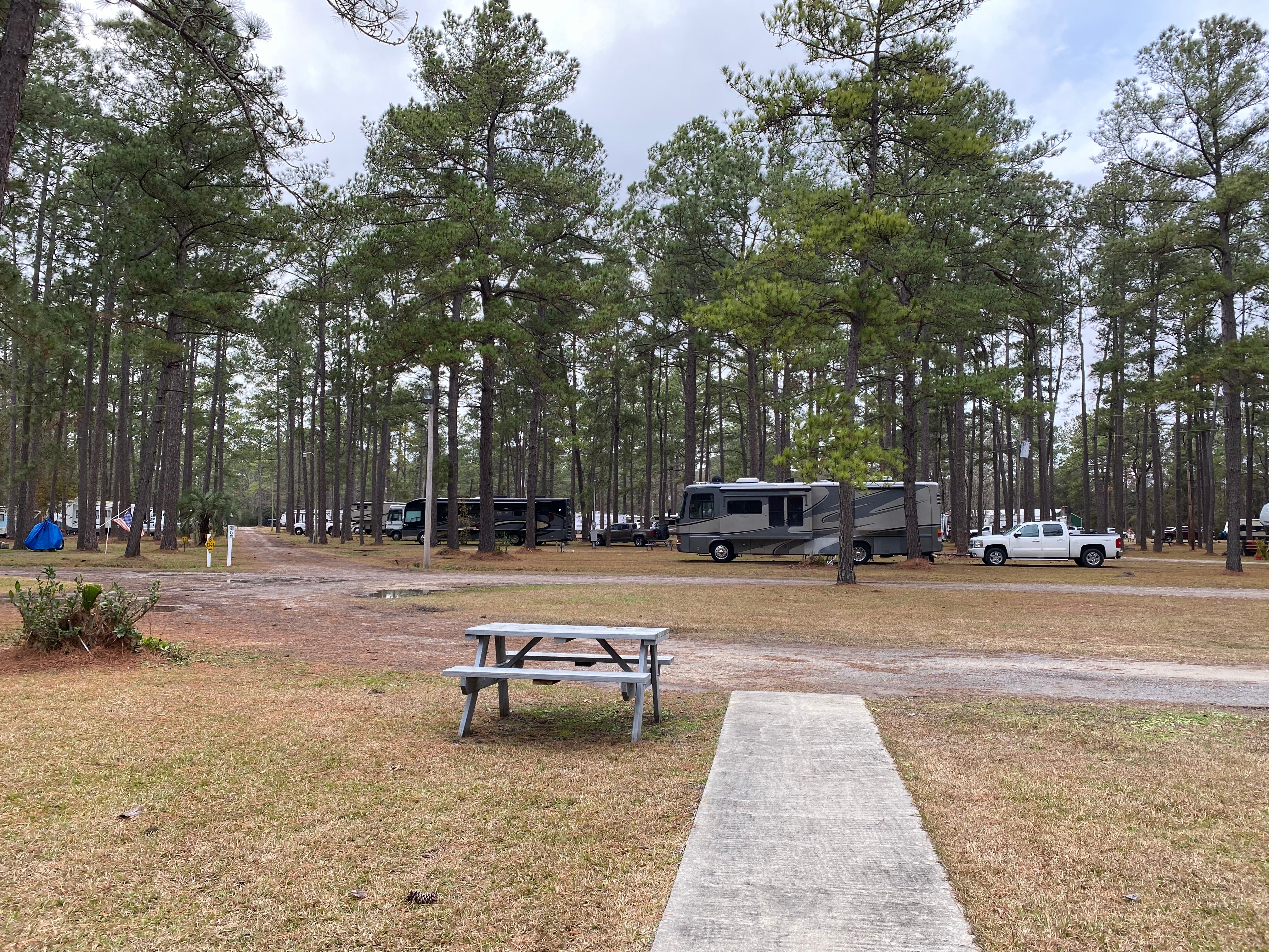 Camper submitted image from New Green Acres RV Park - 4