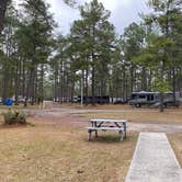 Review photo of New Green Acres RV Park by Tracey  S., January 1, 2021