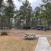 Review photo of New Green Acres RV Park by Tracey  S., January 1, 2021