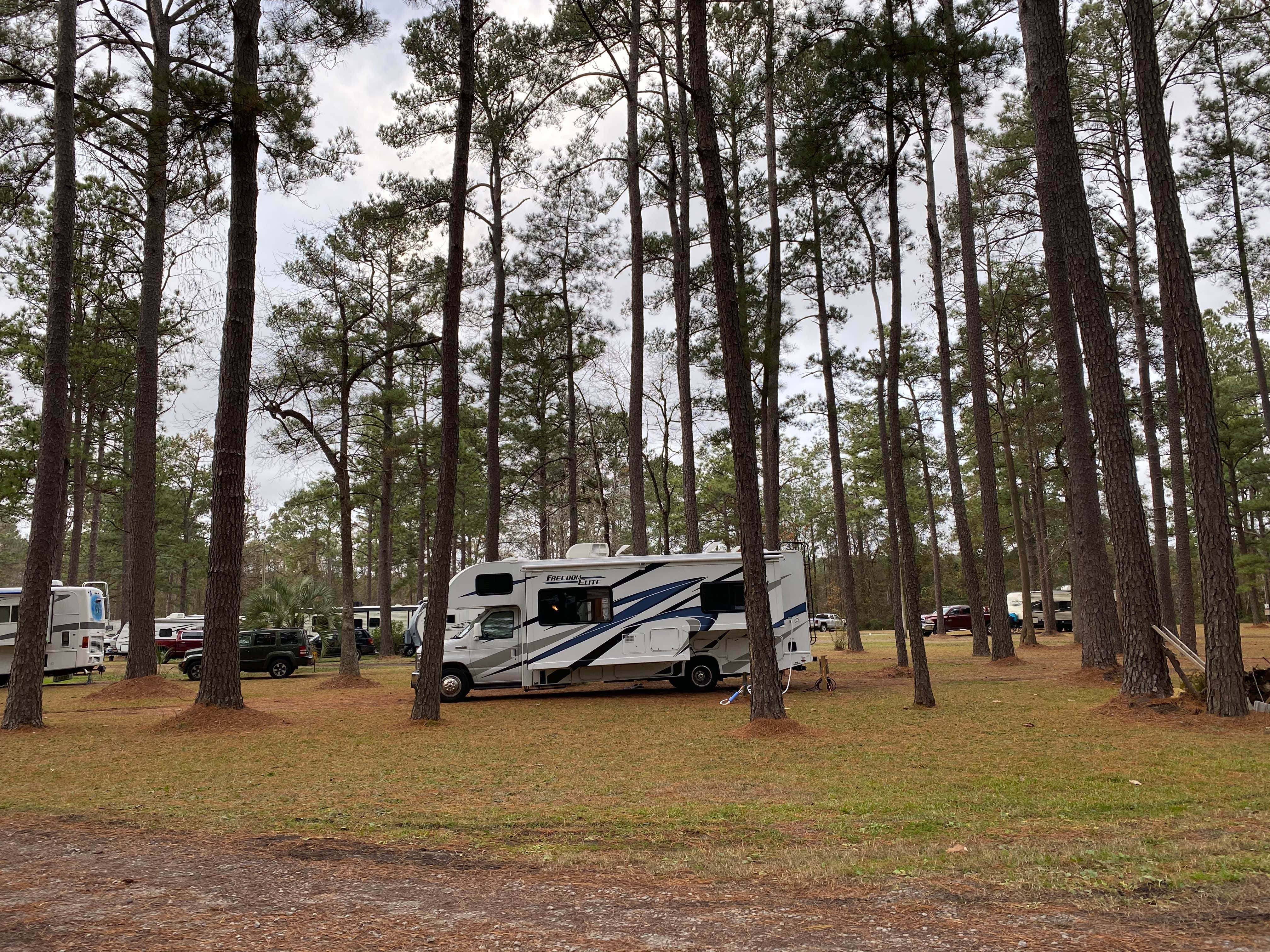 Camper-submitted photo at New Green Acres RV Park near Charleston, SC