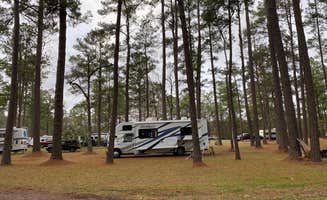 Tracey S.'s photo of rv camping at New Green Acres RV Park near Ehrhardt, SC