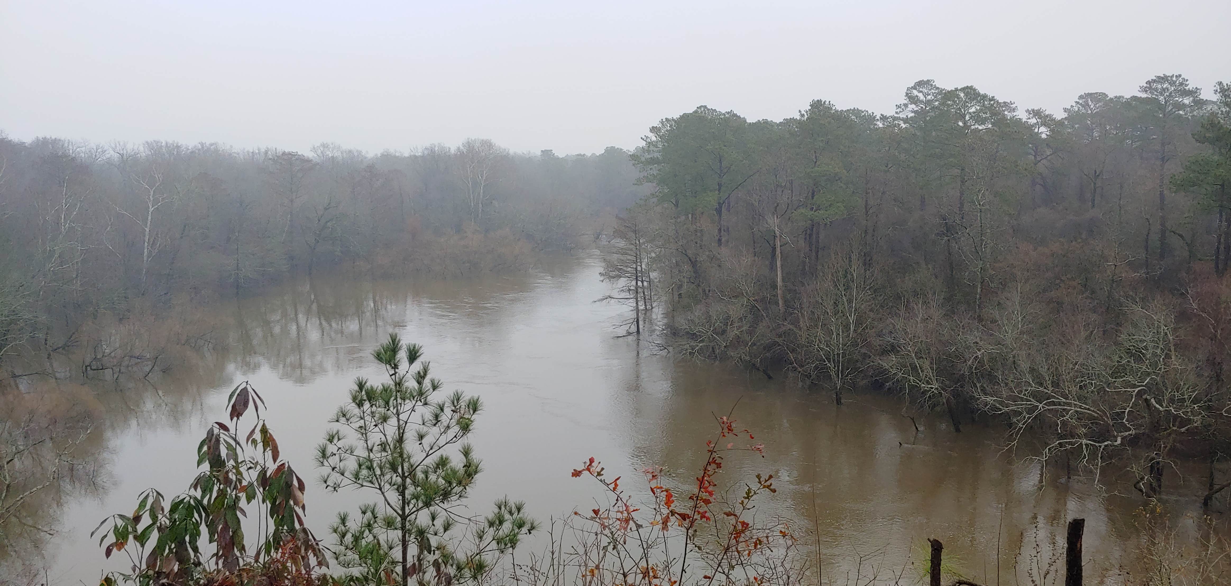 Camper-submitted photo at Cliffs of the Neuse State Park Campground near Kinston, NC