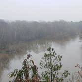 Review photo of Cliffs of the Neuse State Park Campground by Kat M., January 1, 2021