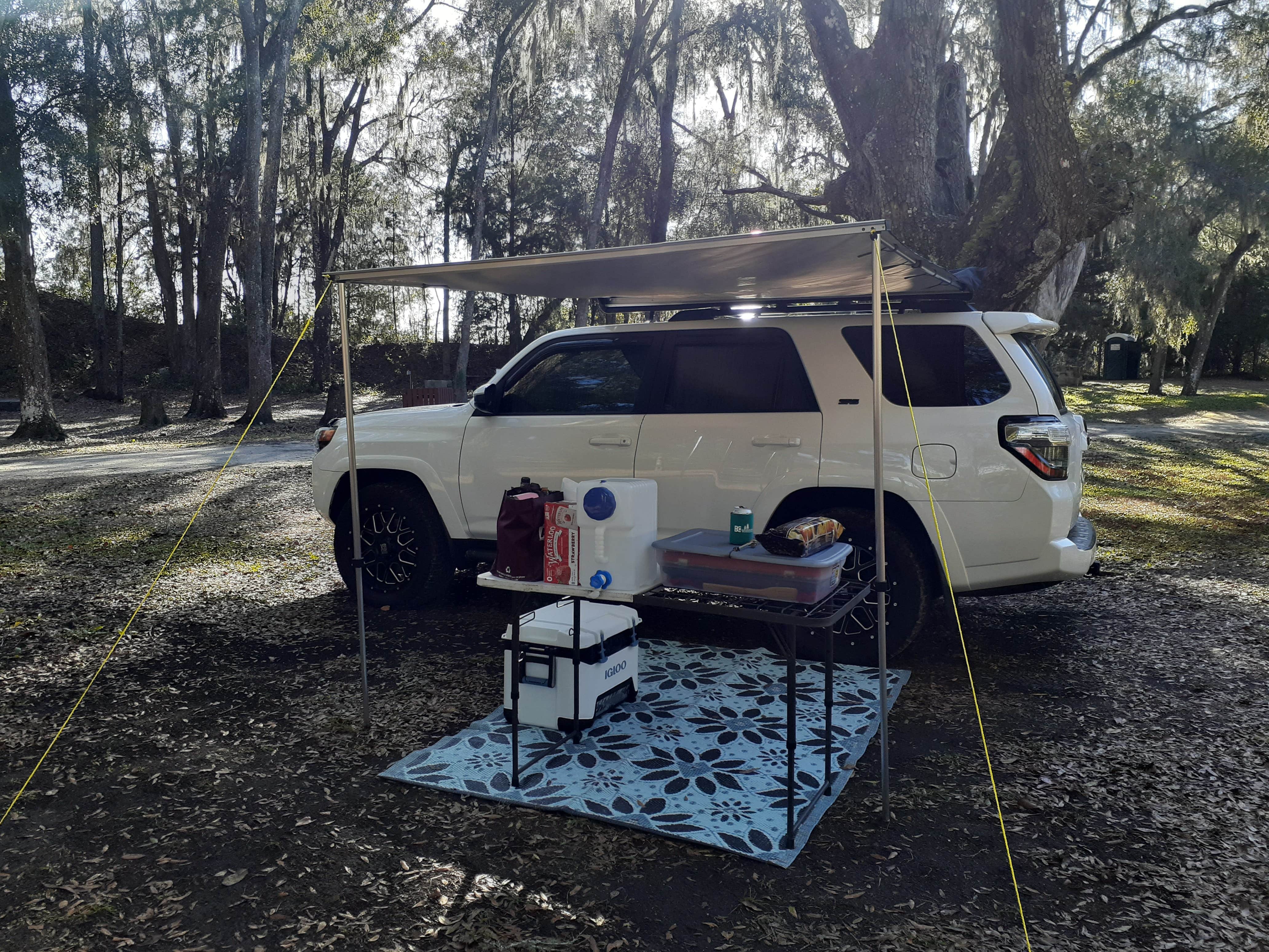 Camper-submitted photo at Devil's Den Spring near Bronson, FL
