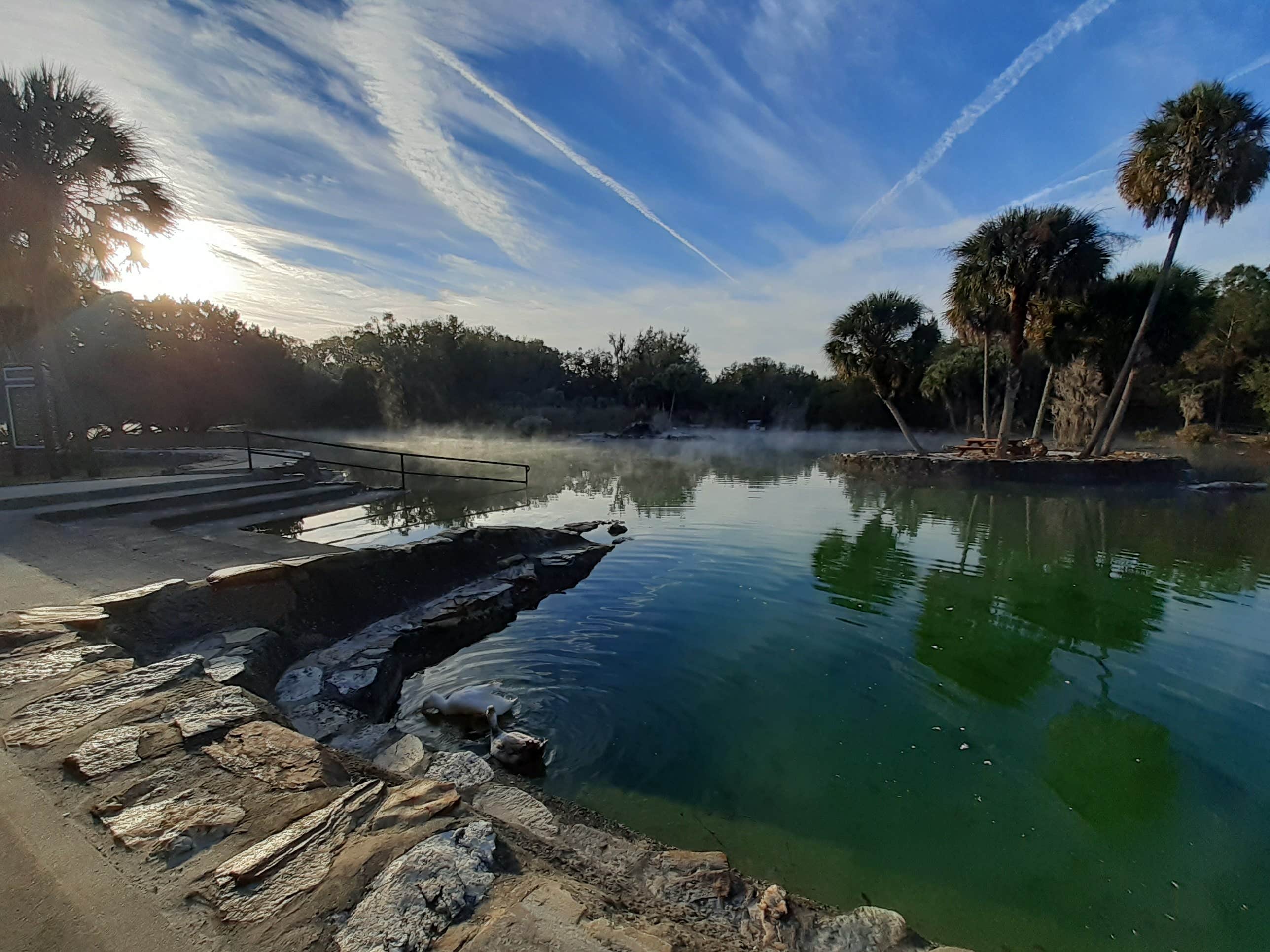 Camper-submitted photo at Devil's Den Spring near Bronson, FL