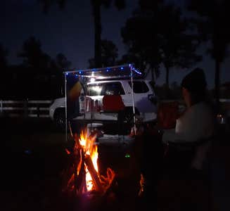 Camper-submitted photo from Spirit of the Suwannee Music Park & Campground