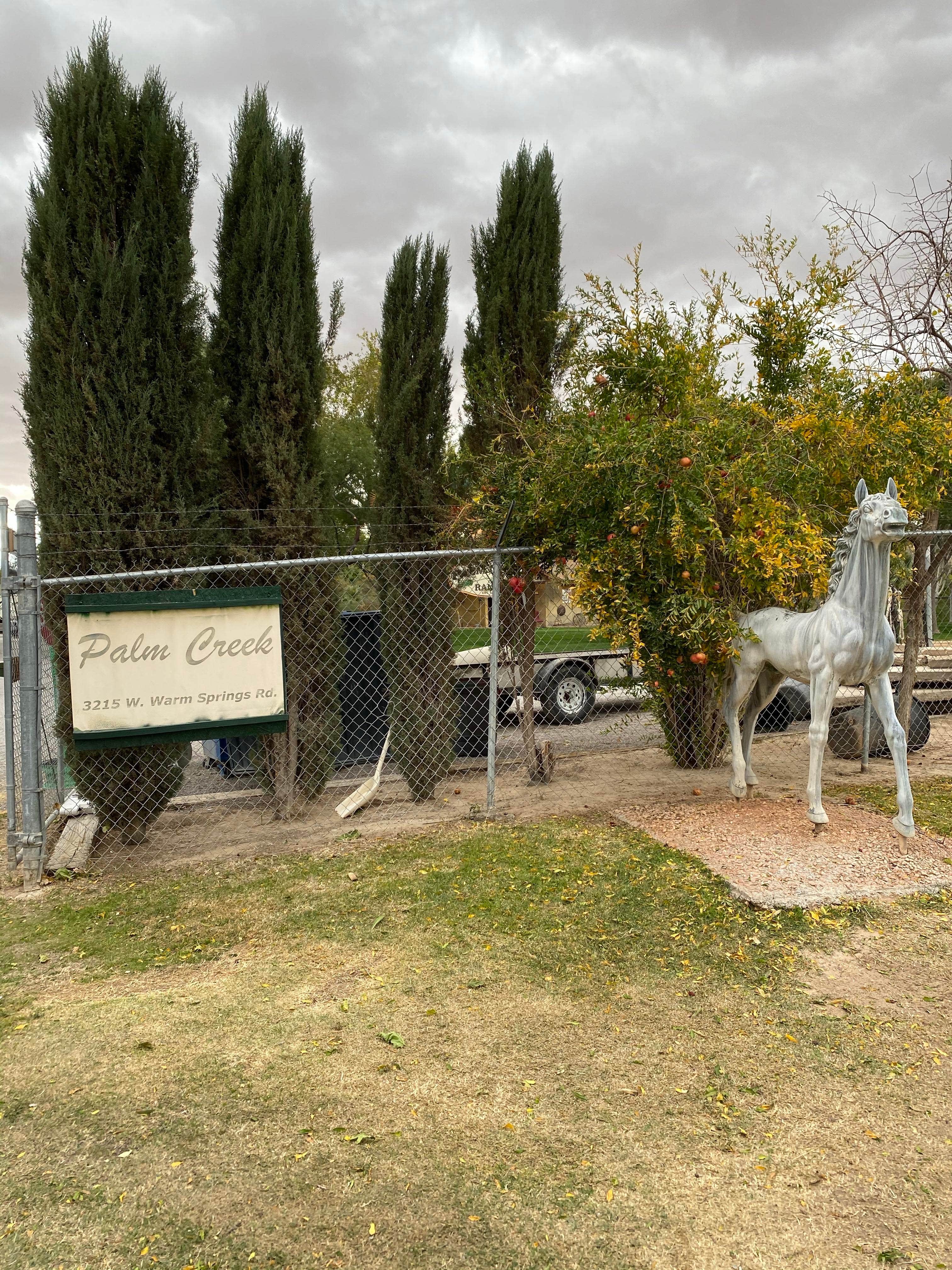 Camper submitted image from Palm Creek Ranch - 5