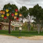 Review photo of Palm Creek Ranch by Brittney  C., January 2, 2021