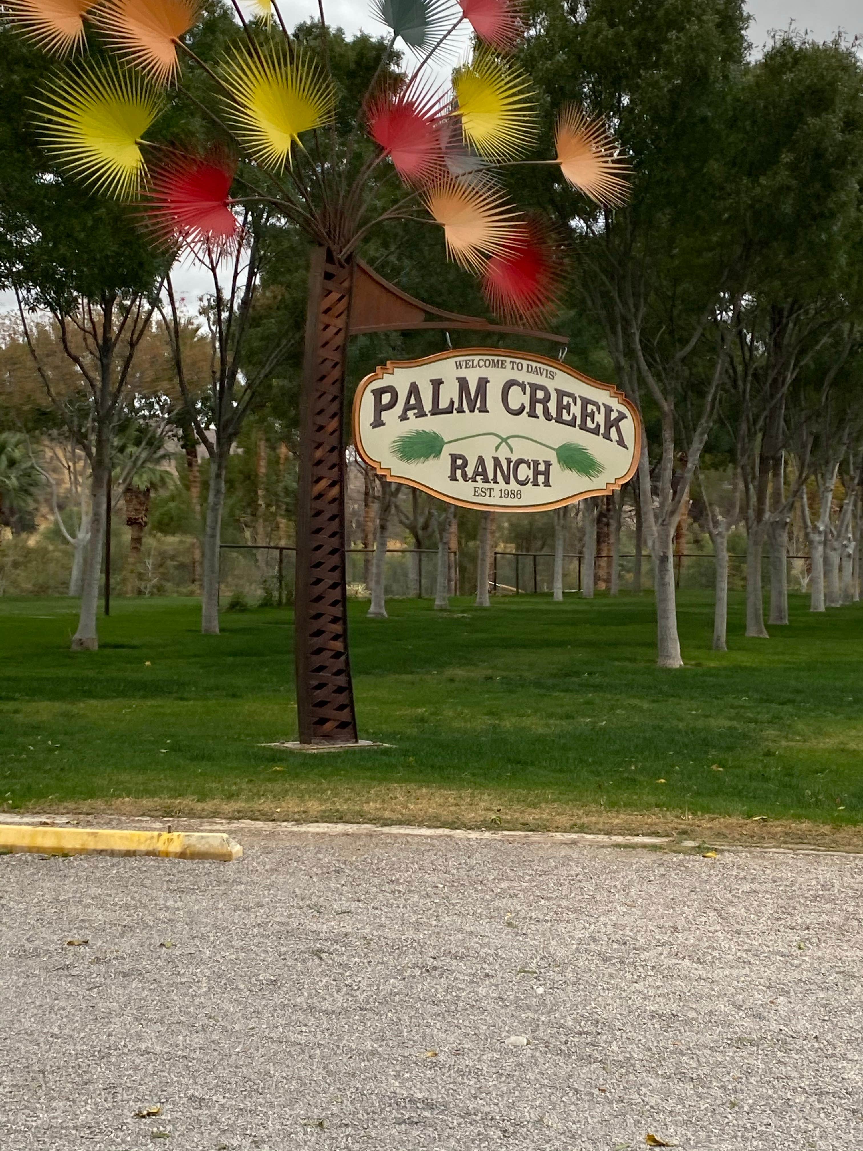 Camper submitted image from Palm Creek Ranch - 2