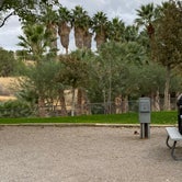 Review photo of Palm Creek Ranch by Brittney  C., January 2, 2021
