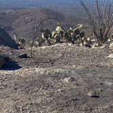 Review photo of Redington Pass - Dispersed Camping by Monte W., January 2, 2021
