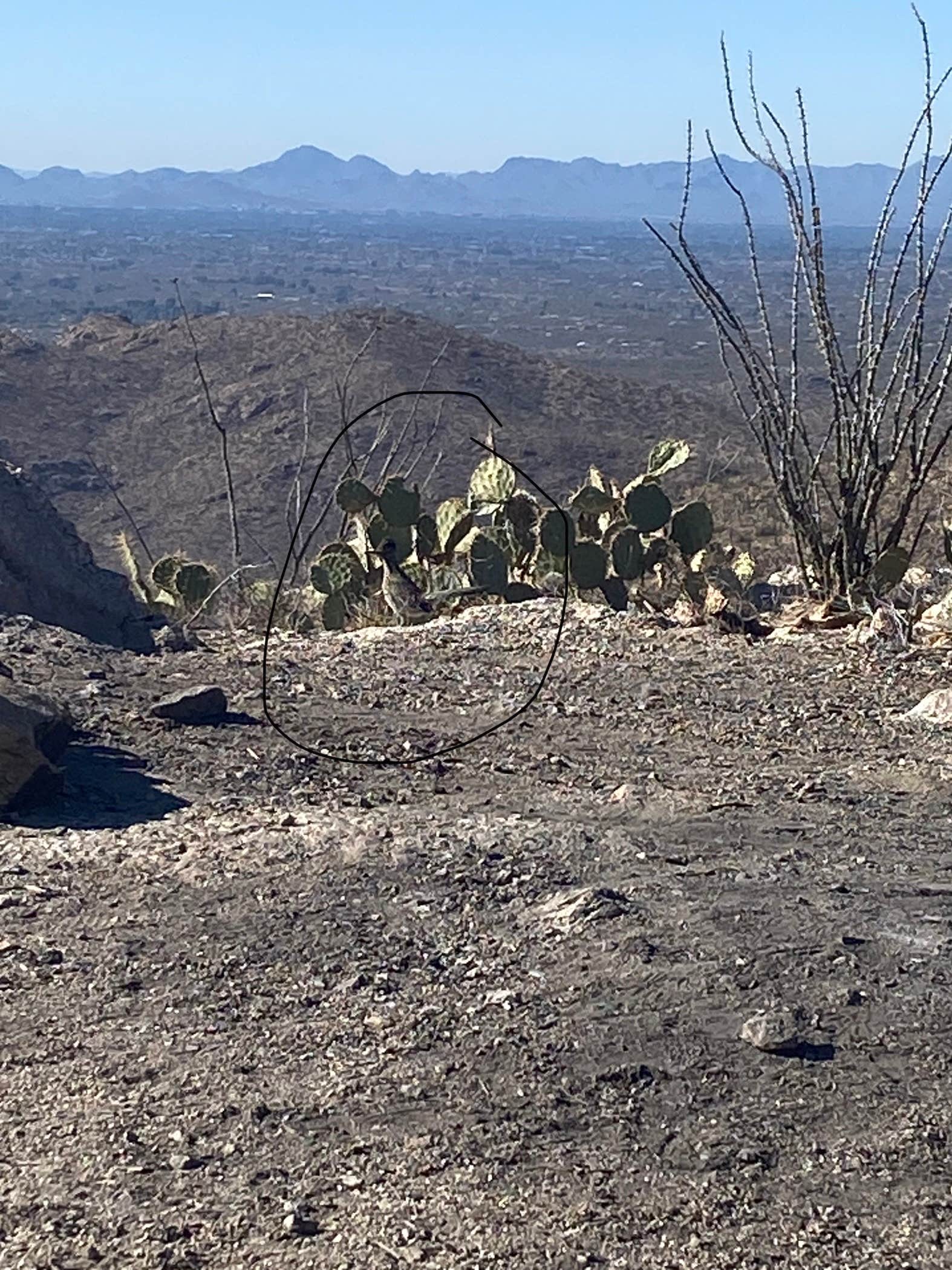 Camper-submitted photo at Redington Pass - Dispersed Camping near Tucson, AZ