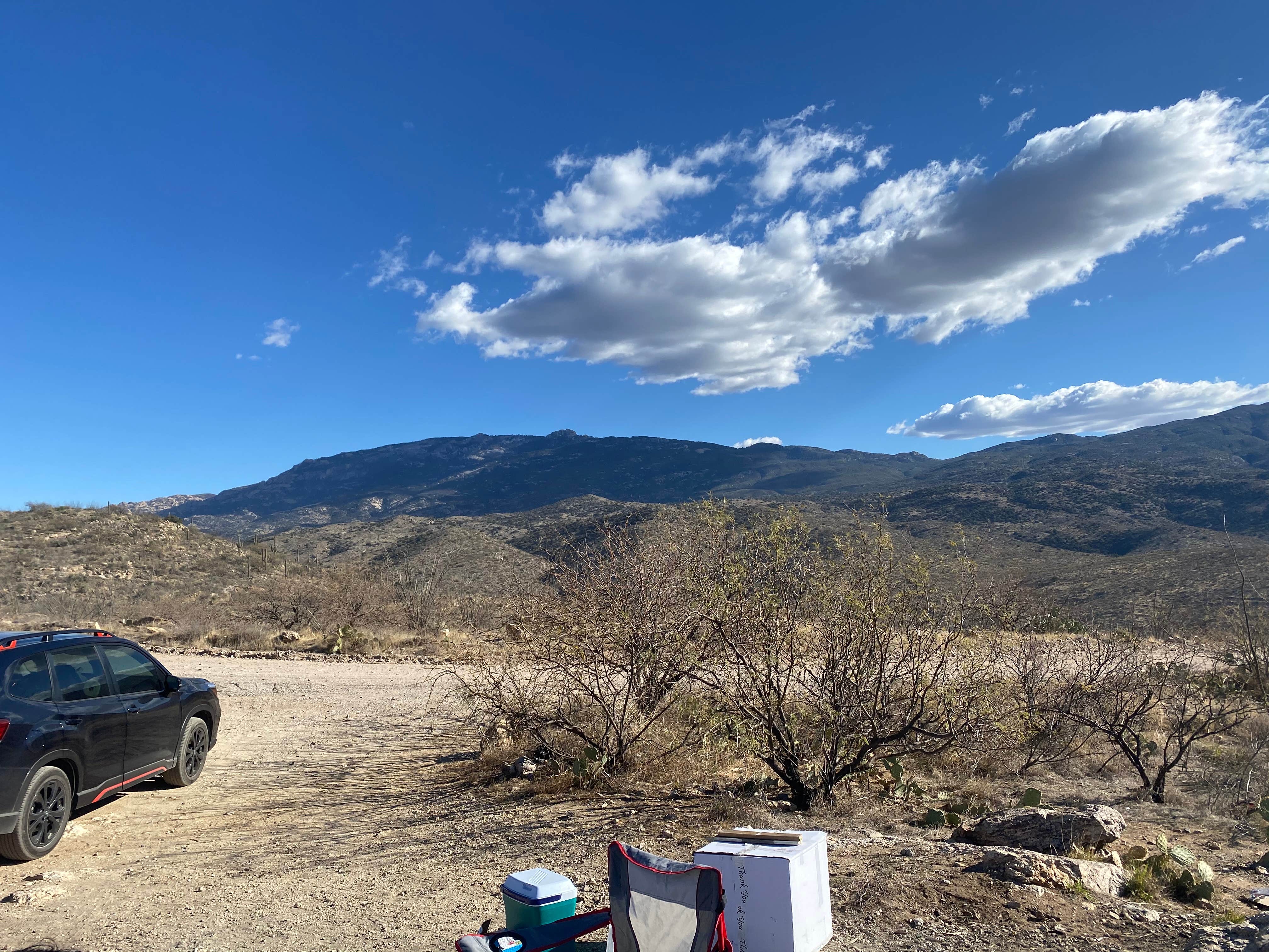 Camper submitted image from Redington Pass - Dispersed Camping - 1
