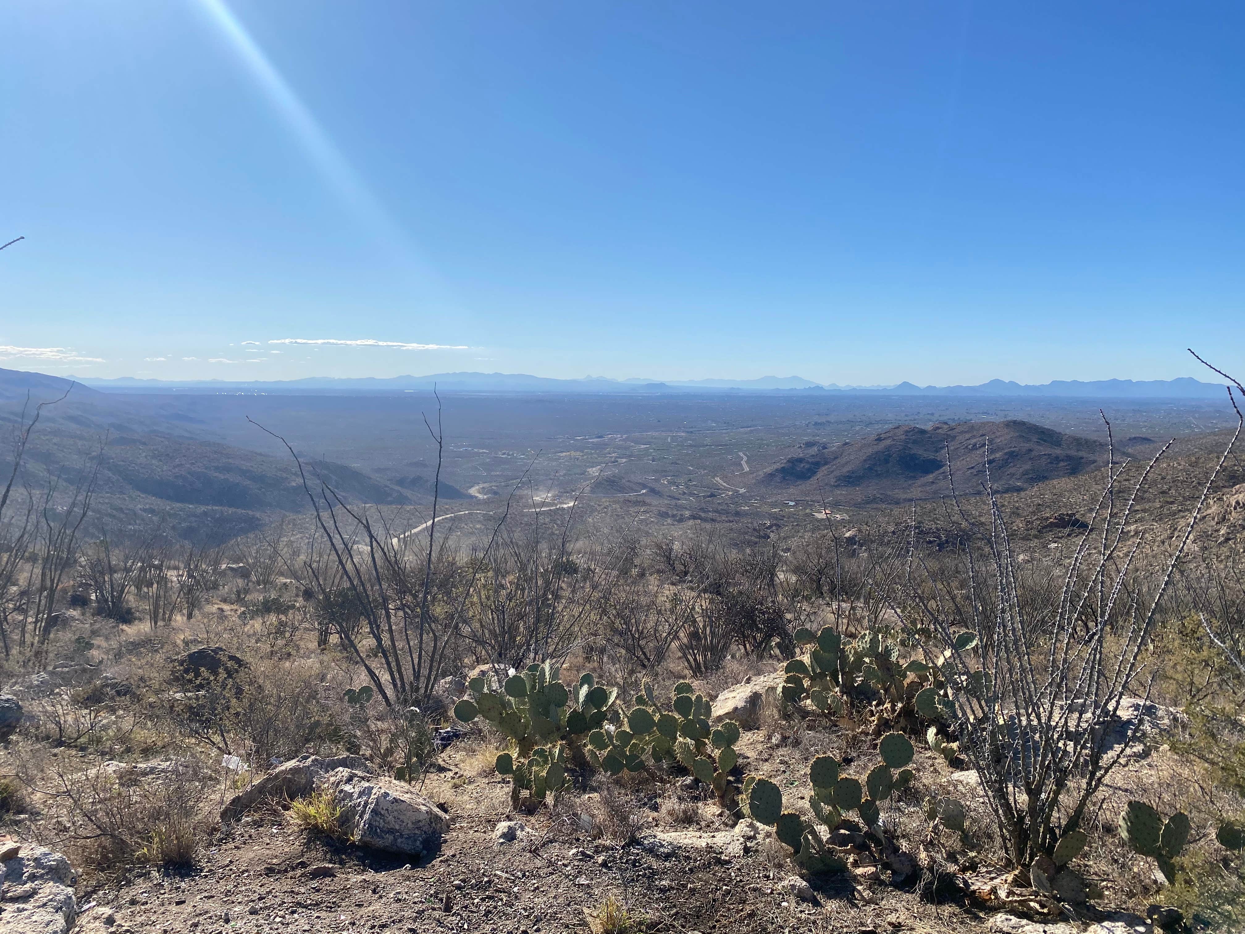 Camper-submitted photo at Redington Pass - Dispersed Camping near San Manuel, AZ