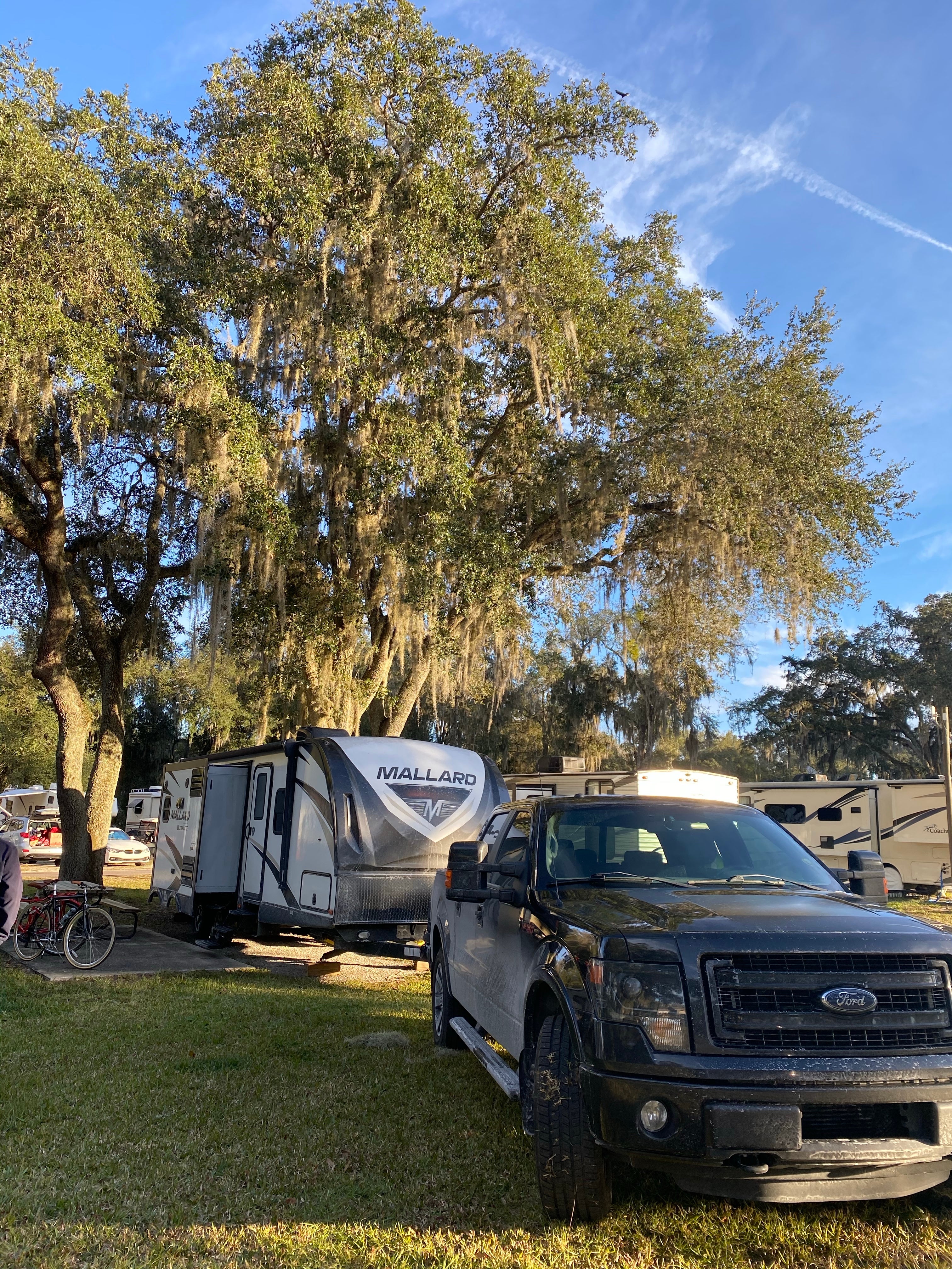 Camper submitted image from Lake Pan RV Village - 1