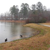 Review photo of Lincoln Parish Park by Mary G., January 2, 2021