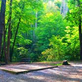 Review photo of Cataloochee Campground — Great Smoky Mountains National Park by Crystal C., January 2, 2021