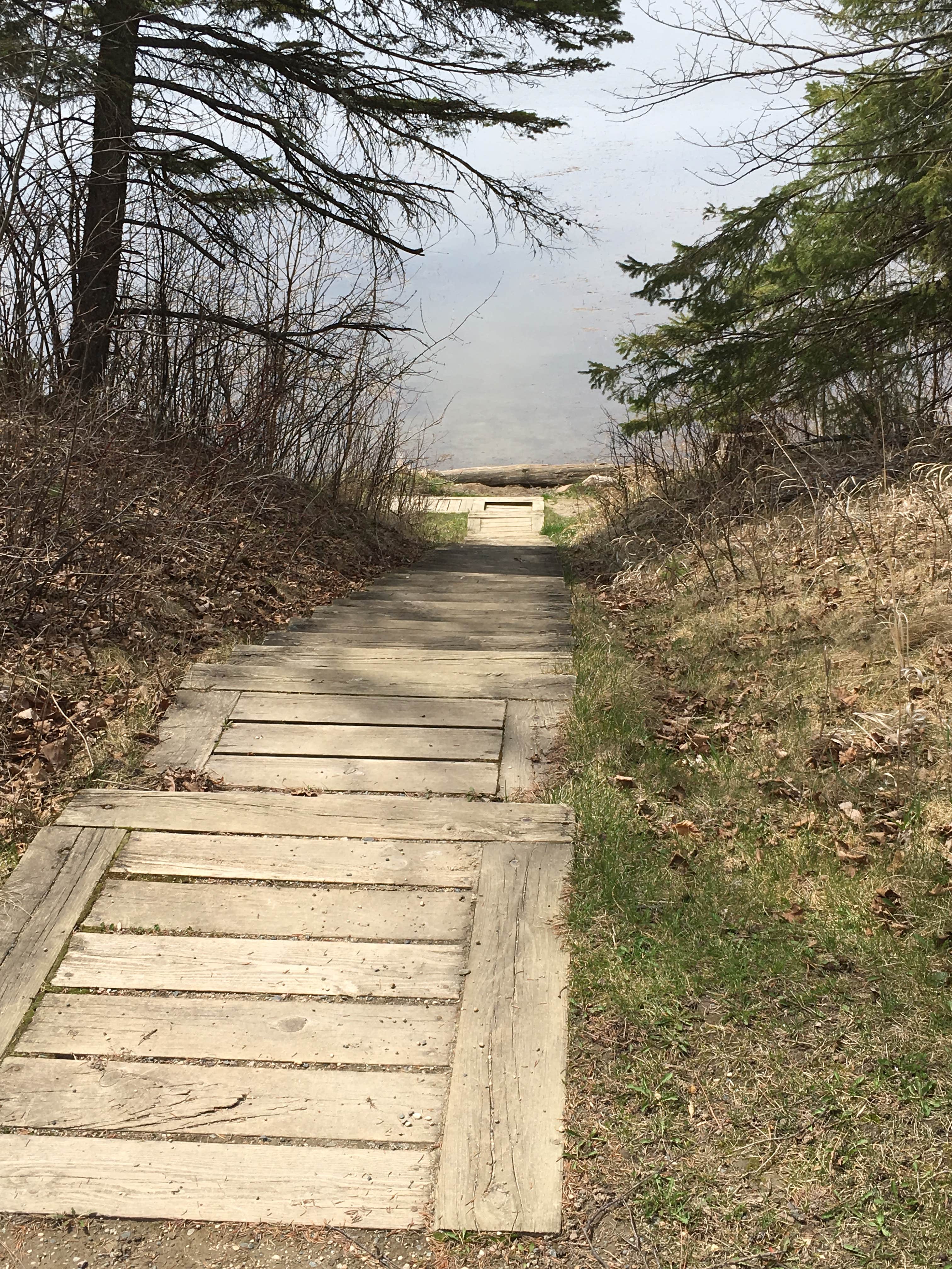 Camper submitted image from Bear Paw Campground — Itasca State Park - 2