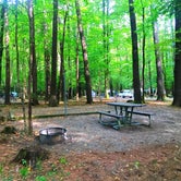 Review photo of Cataloochee Campground — Great Smoky Mountains National Park by Crystal C., January 2, 2021