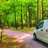 Review photo of Cataloochee Campground — Great Smoky Mountains National Park by Crystal C., January 2, 2021