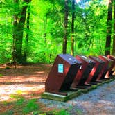 Review photo of Cataloochee Campground — Great Smoky Mountains National Park by Crystal C., January 2, 2021