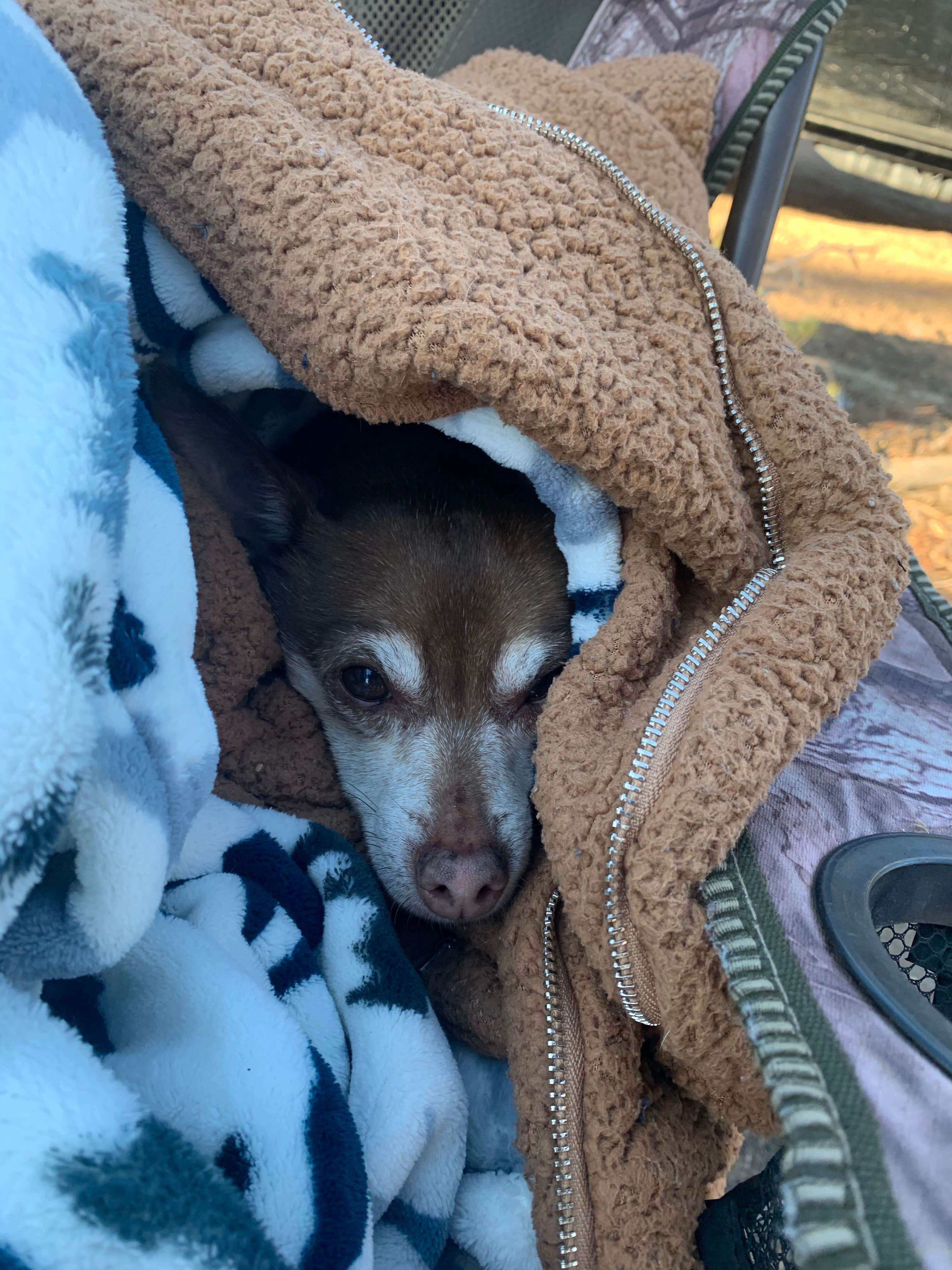 Camper-submitted photo at Beaver Park Reservoir - Dispersed near Jamestown, CO