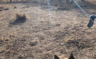 Rachelle J.'s photo of camping with pets at Cieneguita Dispersed Camping Area - Las Cienegas National Conservation Area near Patagonia, AZ