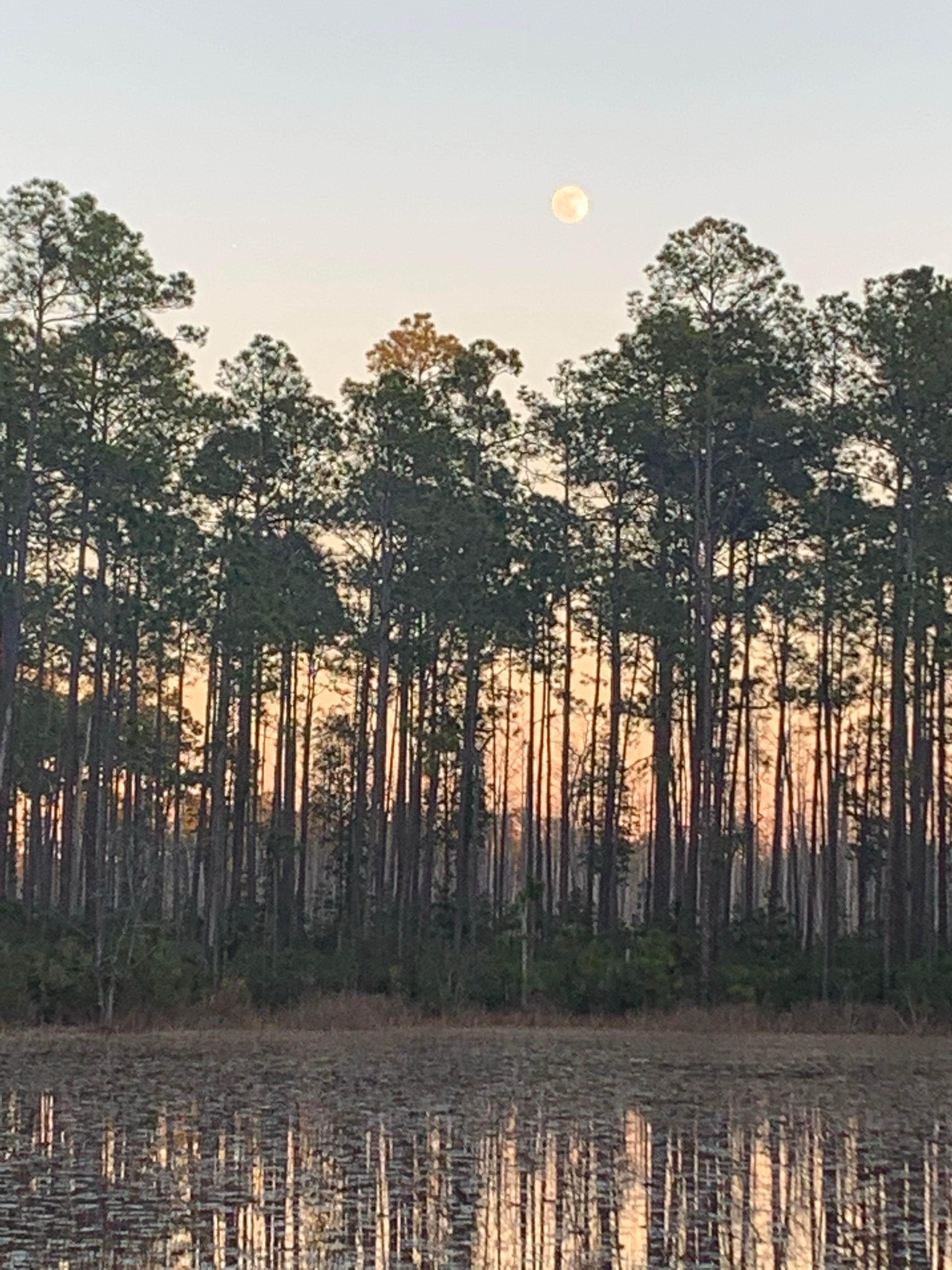 Camping near Island Oaks RV Resort: 17 Mile Hunt Camp, Osceola National Forest, Florida